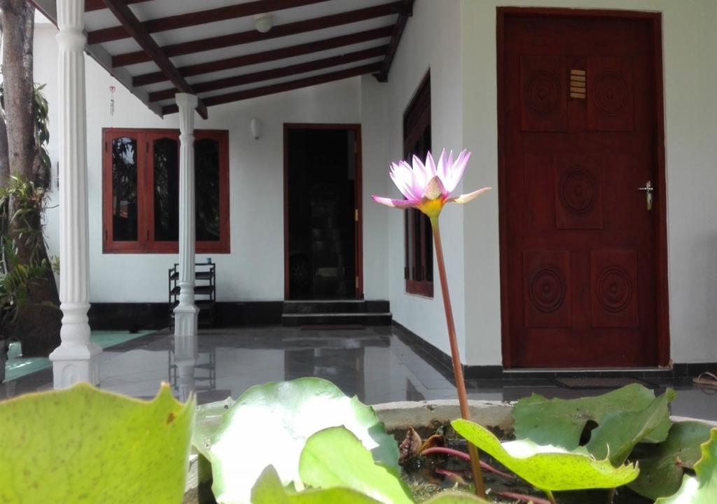 House Of Seya Bed & Breakfast Negombo Exterior photo